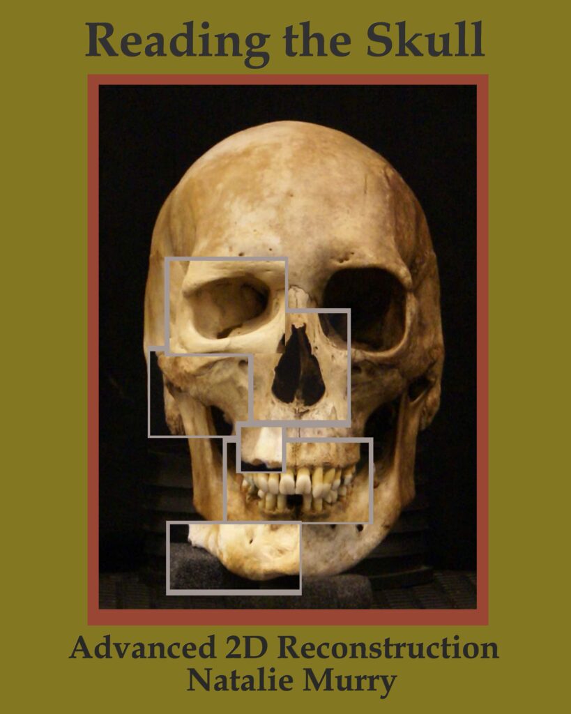 Cover of Reading the Skull