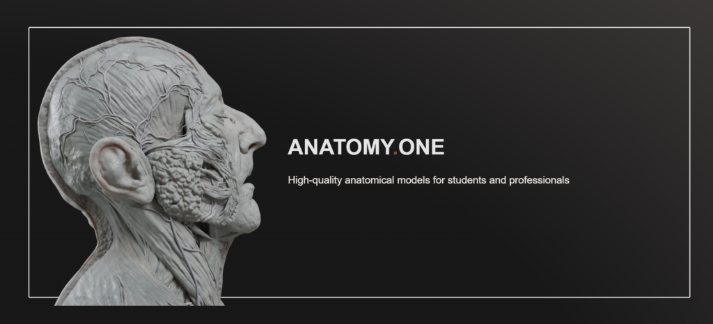 Anatomy.one